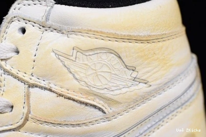 363 Jordan 8696 1 Trendy Hi OG Air NRG 1109